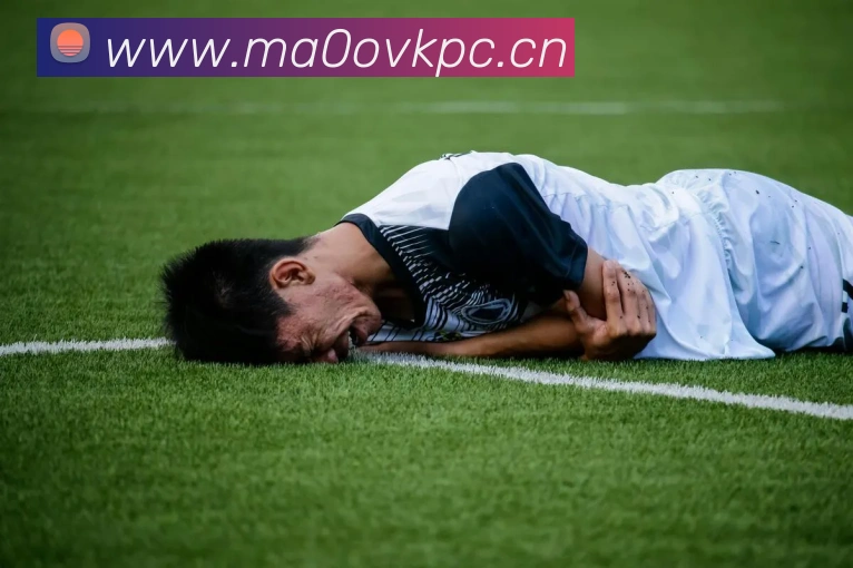 mk体育娱乐官网平台生态图